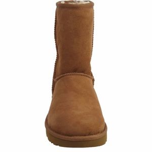 Classic Ugg Boots Short
